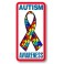 Autism Awareness patch