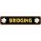Bridging (bar)