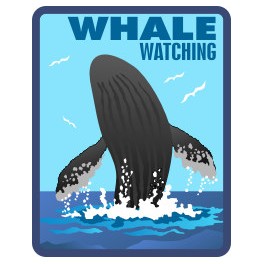 Whale Watching fun patch